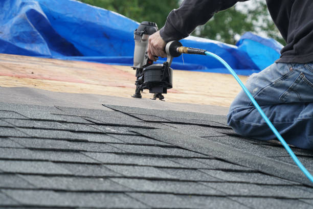 Best Roof Gutter Cleaning  in St Ann, MO